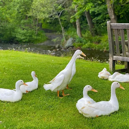 Brook House 2 - Uk31043 Holiday home Bassenthwaite