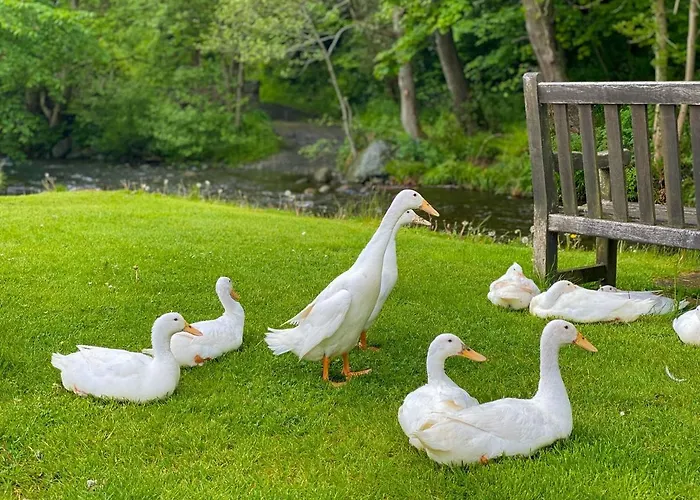 Brook House 2 - Uk31043 Holiday home Bassenthwaite