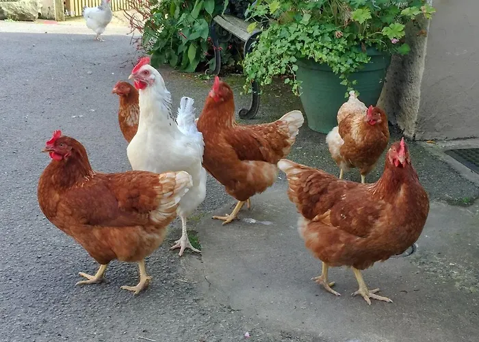 Brook House 2 - Uk31043 * Bassenthwaite
