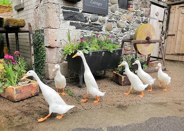 Holiday home Brook House 2 - Uk31043 Bassenthwaite