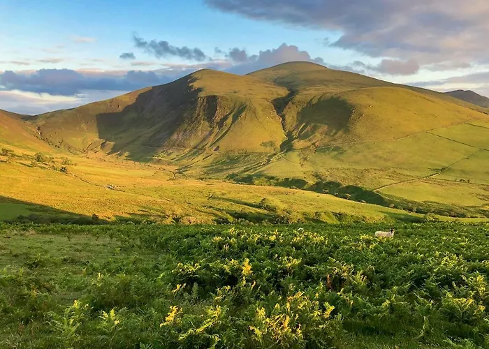 Holiday home Brook House 2 - Uk31043 Bassenthwaite